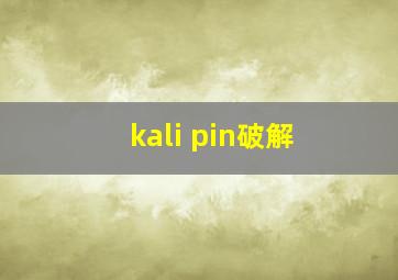 kali pin破解